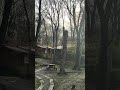 那須高原の朝