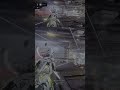 للأسف كان اقوي سلاح باللعبه وار فريم #warframe #gaming #games #gamer كوفا زار