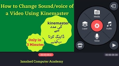 How to change sound/Voice in a video using kinemaster in Hindi/Urdu