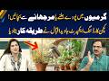 Save Your Plants From Summer Heat | Kitchen Gardening Expert Tips | Morning With Fiza