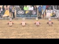 Summer of Surf Fairhaven Round 7 Mens Beach Flags