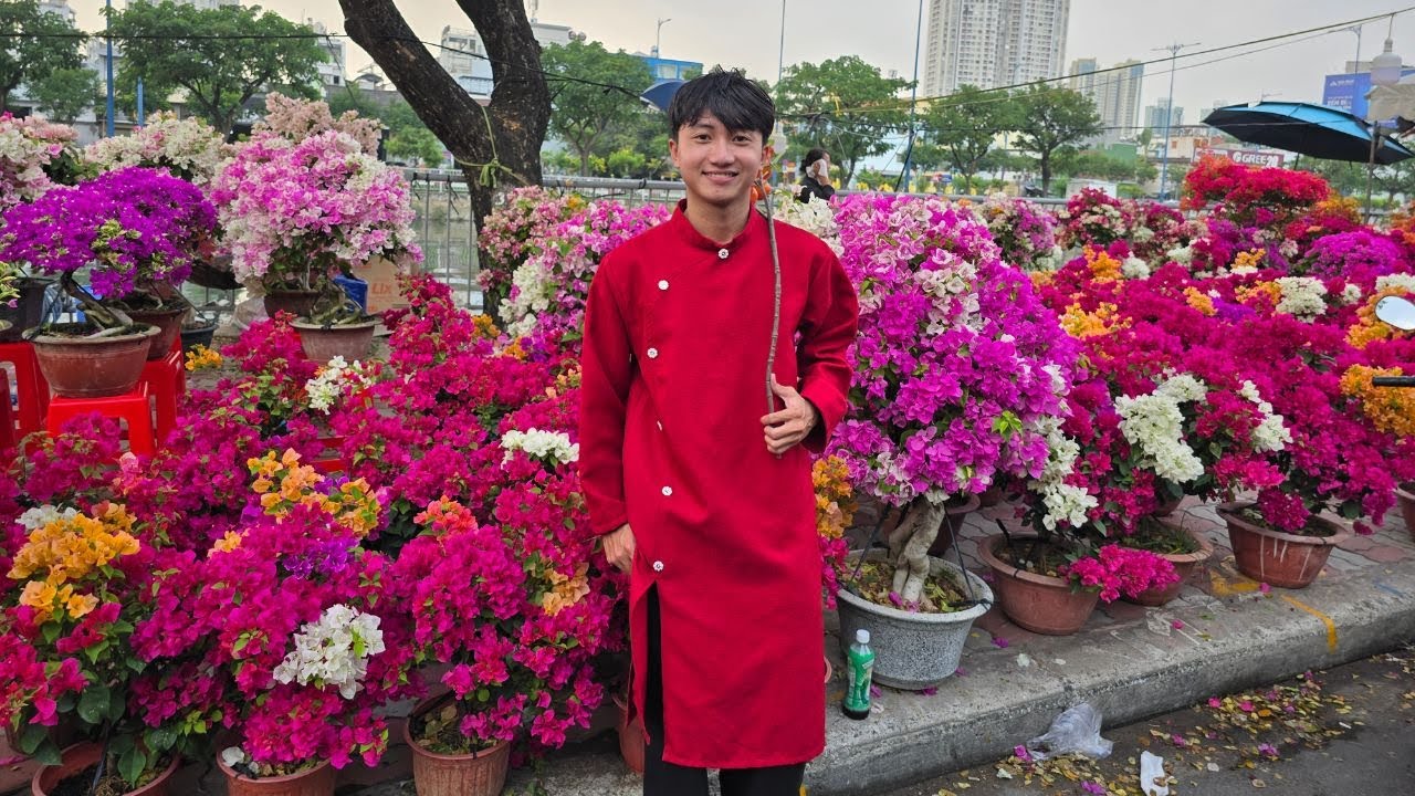 Hoa giấy chùm chùm nhiều màu hút hàng trên Bến Bình Đông Sài Gòn, nhà vườn đếm tiền đã tay