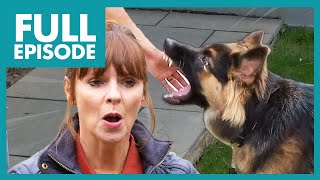 'HELL RAISING' German Shepherd is Out of Control!😱 | Full Episode | It's Me or the Dog