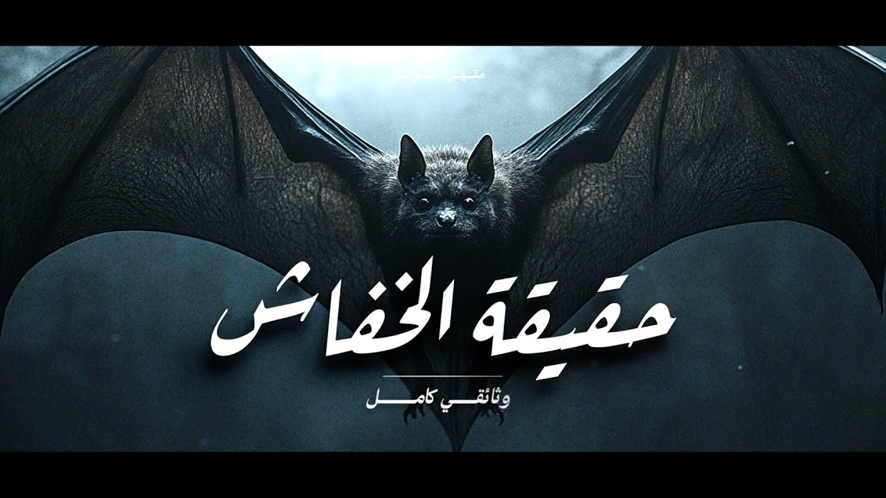 أسرار عالم الخفاش كاملة ! حيوان شرير أم صديق خفي؟ !   |  وثائقي