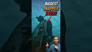WORLD'S BIGGEST SNAPPER! Spearfishing Giant Snapper in Coral Cave #spearfishing #redsnapper