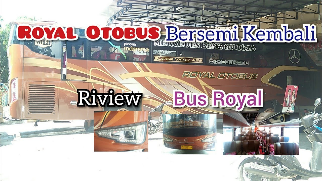 Bus ROYAL OTOBUS bersemi Kembali, Riview Bus Royal... Mantap x bos ku