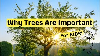 Why Trees Are Important - For Kids