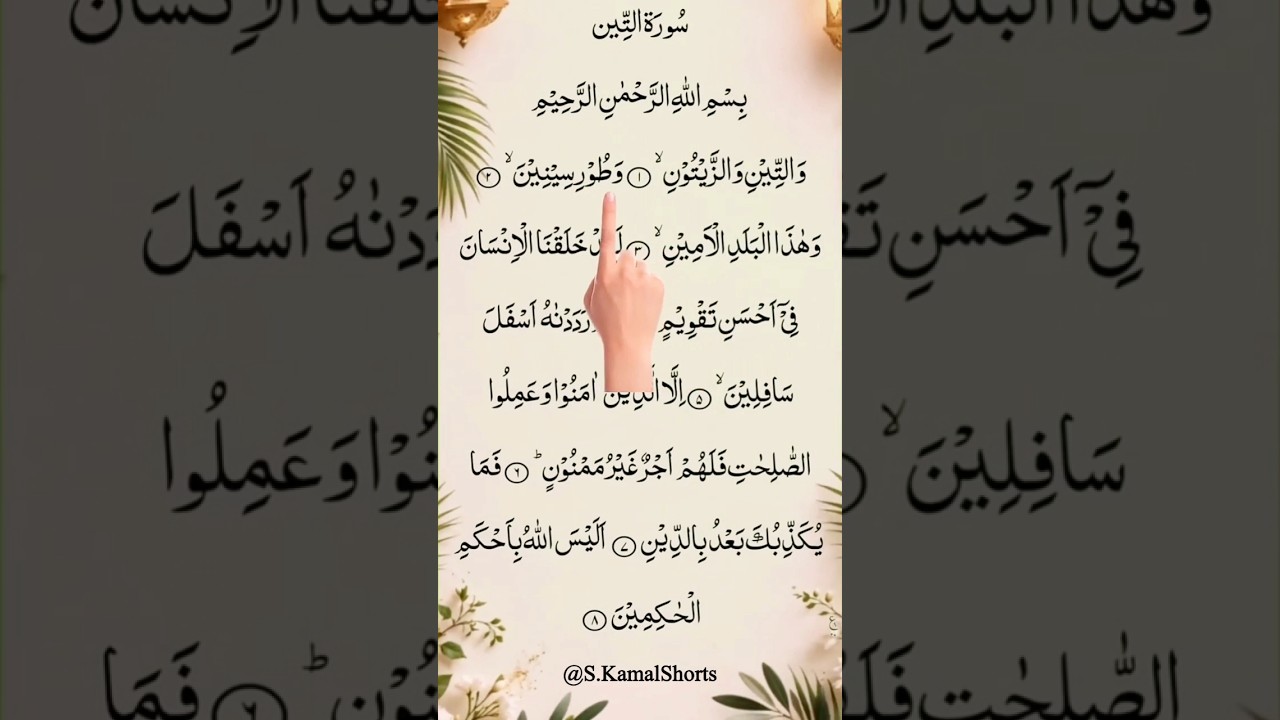 Surah At-Tin | Beautiful Quran Recitation | Surah At-Tin With Arabic Text #shorts #viral #Quran