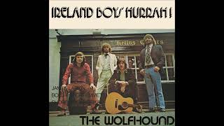 The Wolfhound (Ray McAreavey) - Ireland Boys Hurrah