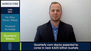 Grains edged higher Friday, but weekly losses remain steep ahead of a key USDA report. 6/27/25