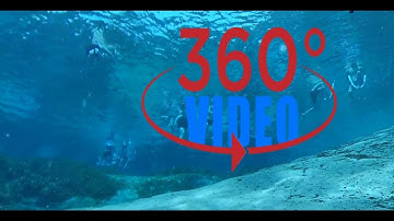 360 Degree Video - Bottom of Alexander Springs, Florida
