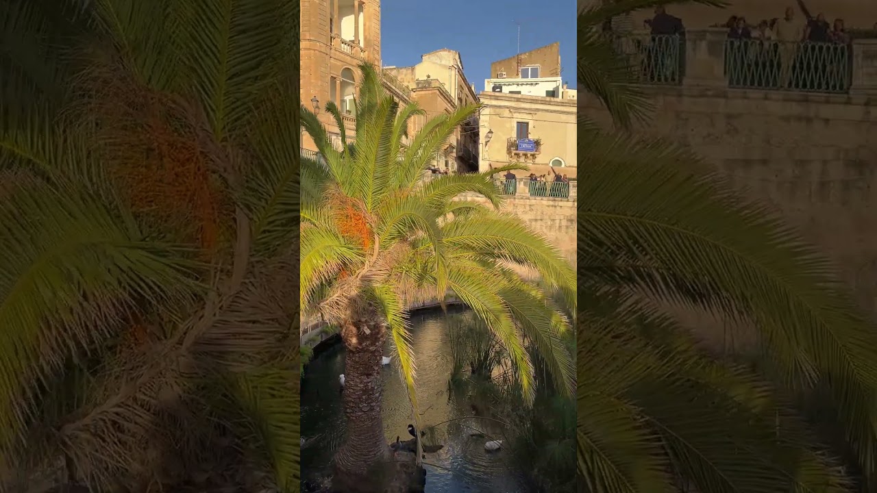 Arethusa Spring in Syracuse 