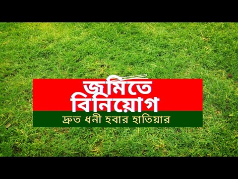 ভিডিও: কোম্পানি 