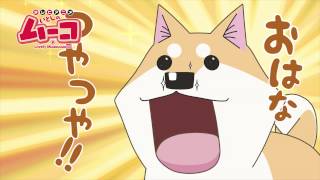 いとしのムーコ Youtube