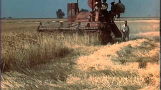 Norman Borlaug Trailer