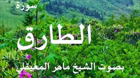 سورة الطارق بصوت الشيخ / ماهر المعيقلي 86
