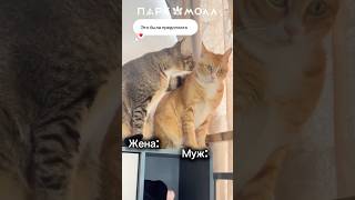Покупка кухни #паркмоллшутит