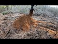 Clearing trees on the new property with a 75g Excavator Part 1