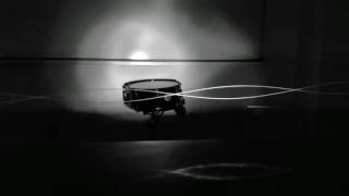 String resonance with strobe light
