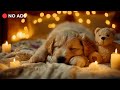 3 Hours of Dog Calming Music🐶🎵Soft Music For Dogs At Home🐶💖Stressed Dog Calm Guide