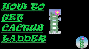 How to get cactus ladder in steep steps || Roblox