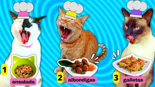 PROBANDO 3 RECETAS para Gatos CON MIS 7 GATOS!! 👩‍🍳🍗🍖🍳😽