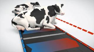 GEA Concductive cooling   MCN Drachten