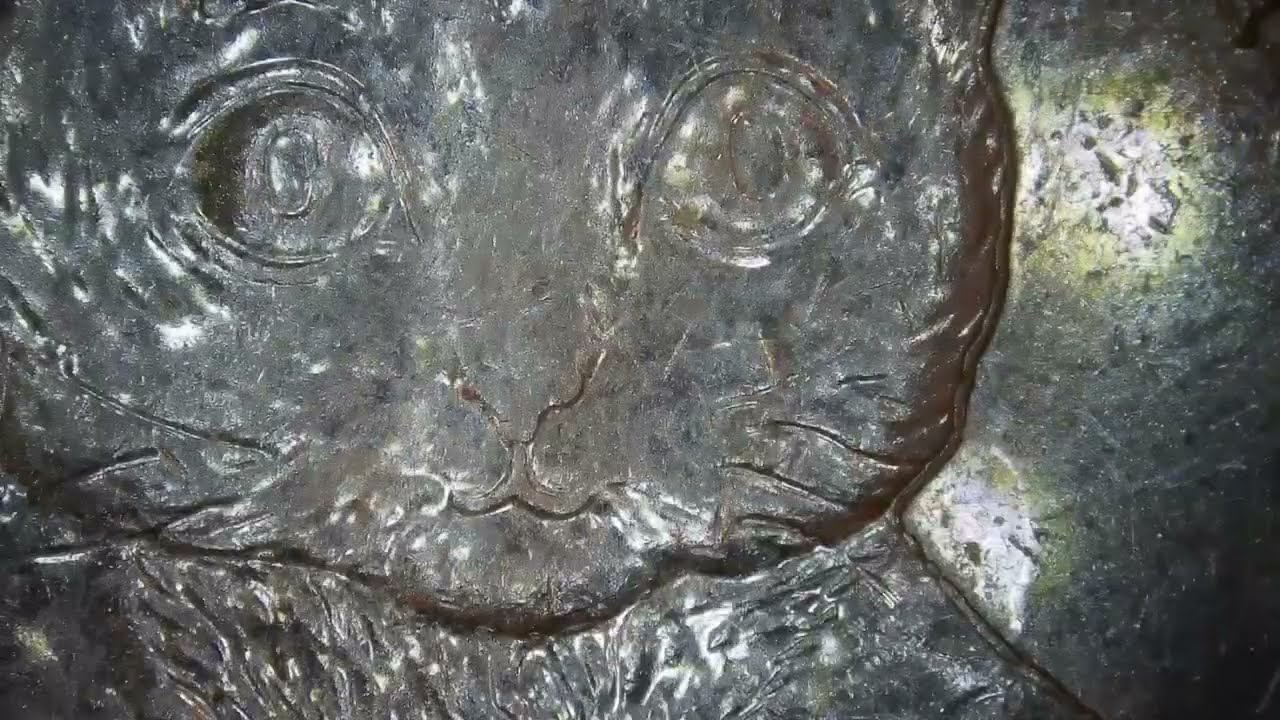 Монета 50 пенсов с котенком Томом. Обзор крупным планом.