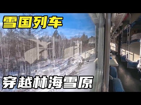 坐雪国列车，去中国最北的城市漠河，穿越林海雪原是什么体验？【小灵浪啊浪】