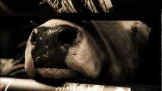 Watch The 1515 Bucking Battle Sunday At 4 P.m. Et On Cbs