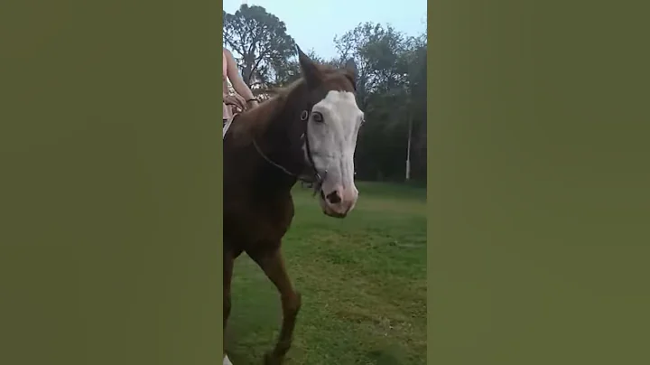 Yard work