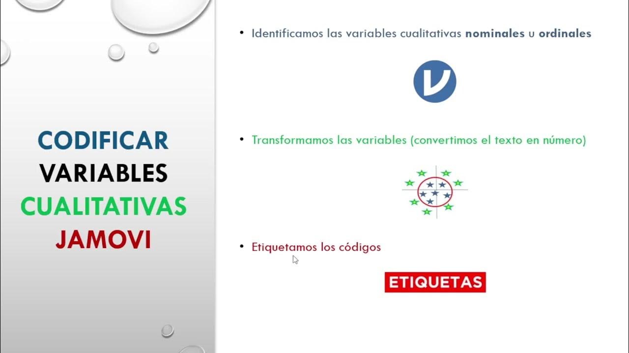 Codificar variables cualitativas con tipo de dato Texto en JAMOVI - YouTube
