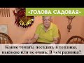 Голова садовая - Какие томаты посадить в теплице, высокие или не очень. В чем разница?