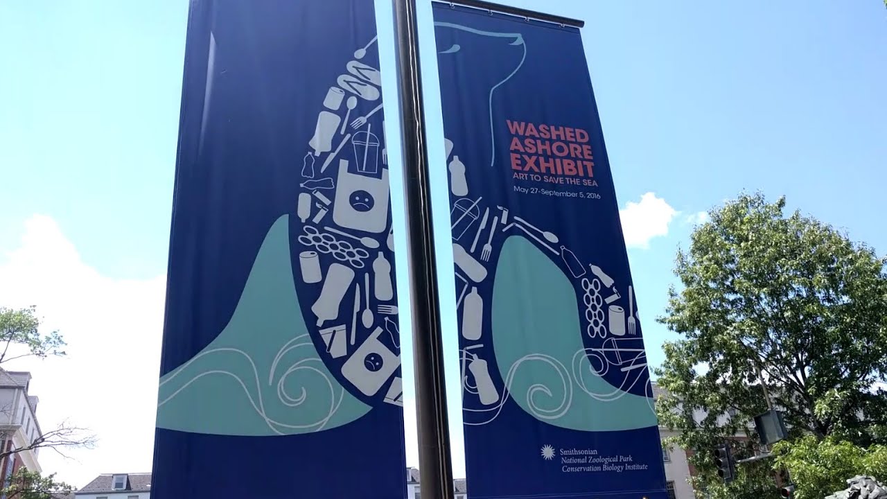 Washed Ashore exhibit at the Smithsonian National Zoo (Washington, DC) camera iphone 8 plus apk