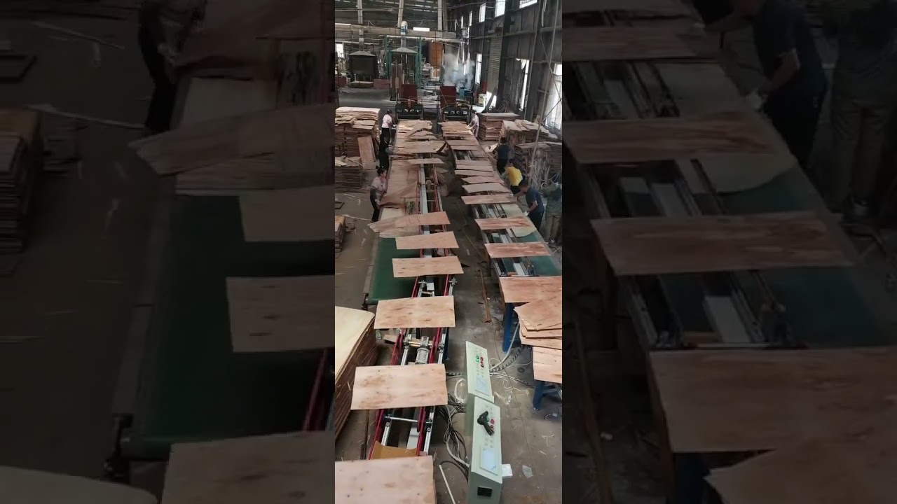 GLUE SPREADER+ASSEMBLE VENEER PAVING LINE 3