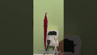 It feels like flying, but maybe, we're dying. ' - || [i just wanted to use this audio 😭] #tallyhall