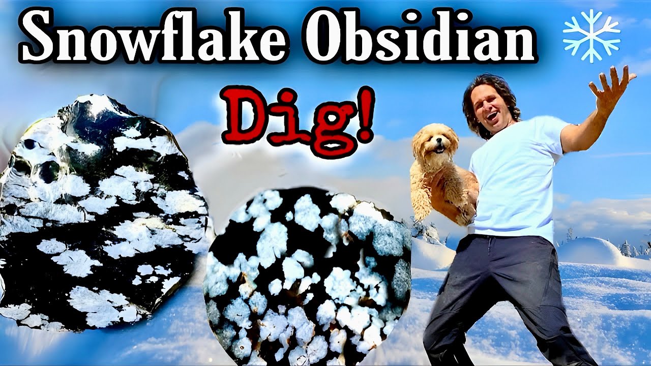Amazing Day Obsidian Crystal Collecting in Utah!