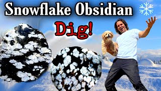 Amazing Day Obsidian Crystal Collecting in Utah!