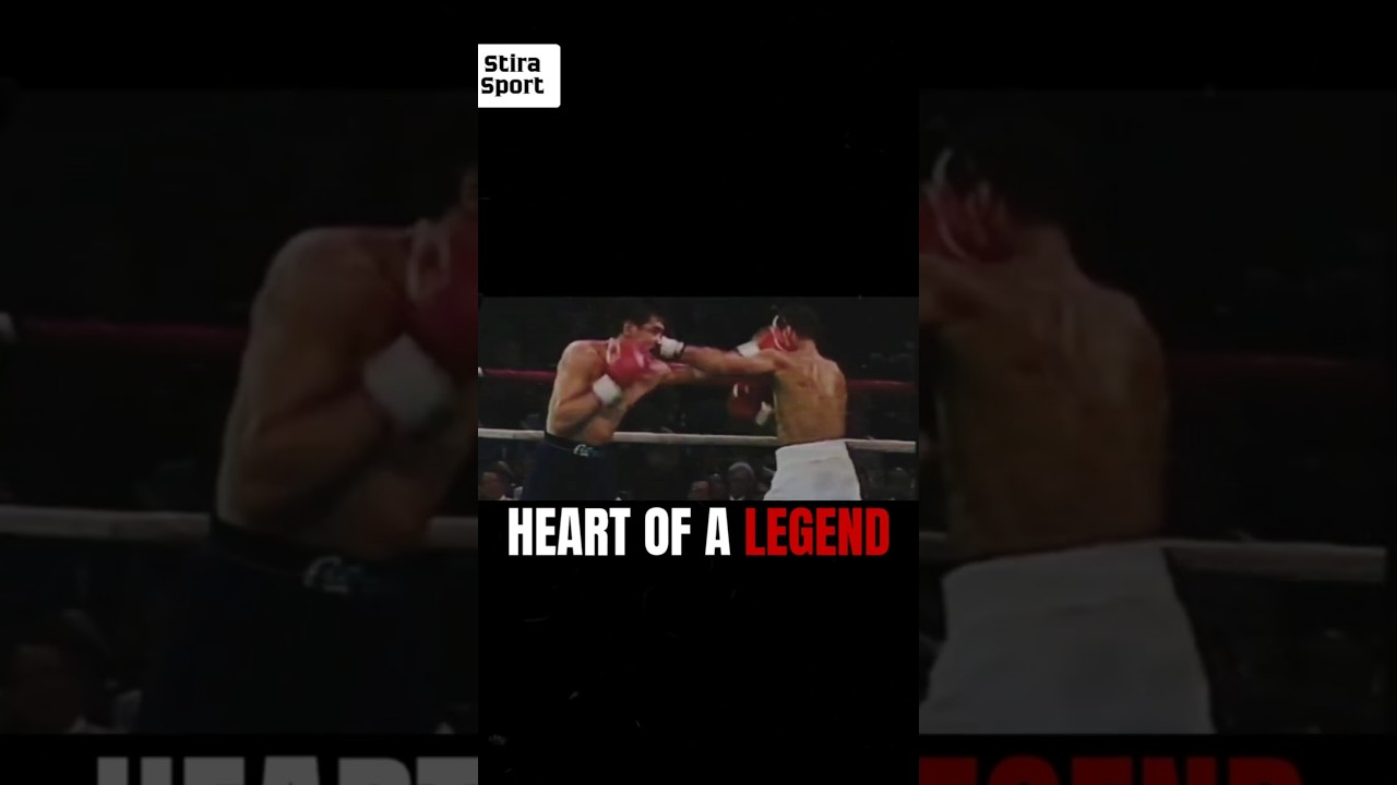 Алексис Аргуэльо — Джентльмен с смертоносными ударами! Взрывной худой💥🥊