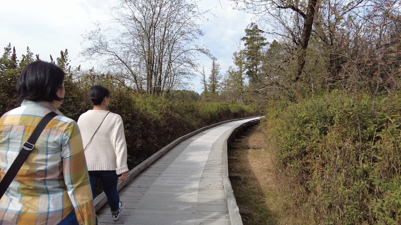 Deer Lake Walk (10-10-2022)