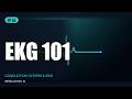 Conduction System &amp; EKG Basics in 5 Minutes (USMLE High-Yield)