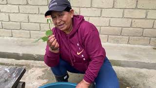 Utilicé los montes del campo para bañar a mis padres. /Vida de María.