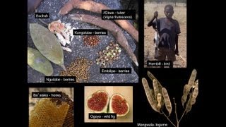 CARTA: The Evolution of Human Nutrition