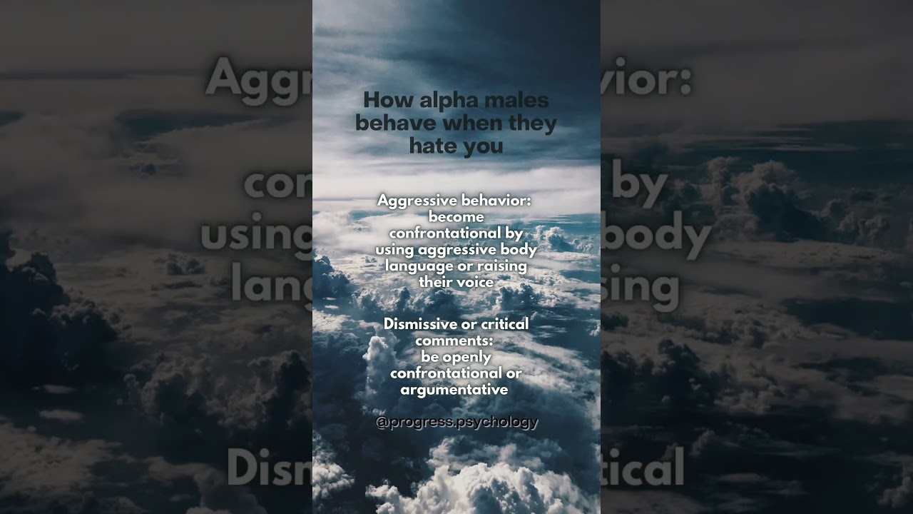 How alpha males react when they hate you. 