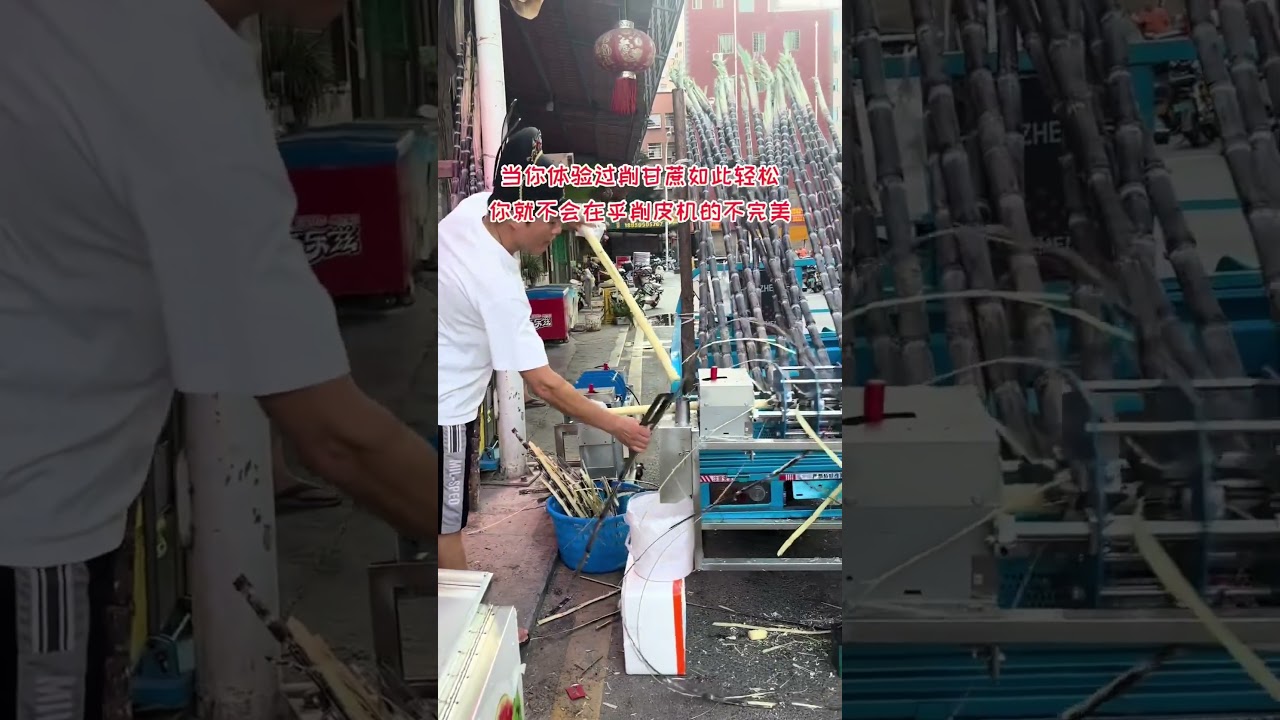 Sugar cane cutting machine 🫜🫜 