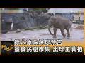 德大象踩爆球預言 墨貧民窟市集 出球王戰袍｜方念華｜FOCUS全球新聞20260624 @tvbsfocus