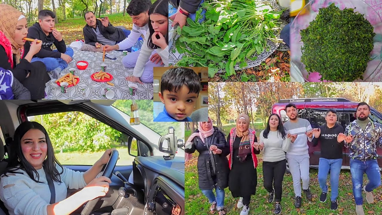 روشين عم تتعلم تسوق سيارة  ورحنا على  قطف الخبيزة وقضينا يوم في الغابة وحكيم مرض اخدناه عالدكتور