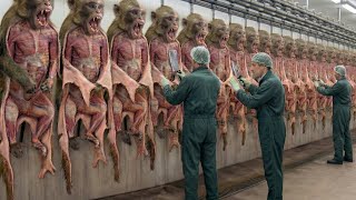 The Dark Reality Behind Exotic Macaque Leather — From Skin to Million-Dollar Luxury Net Worth