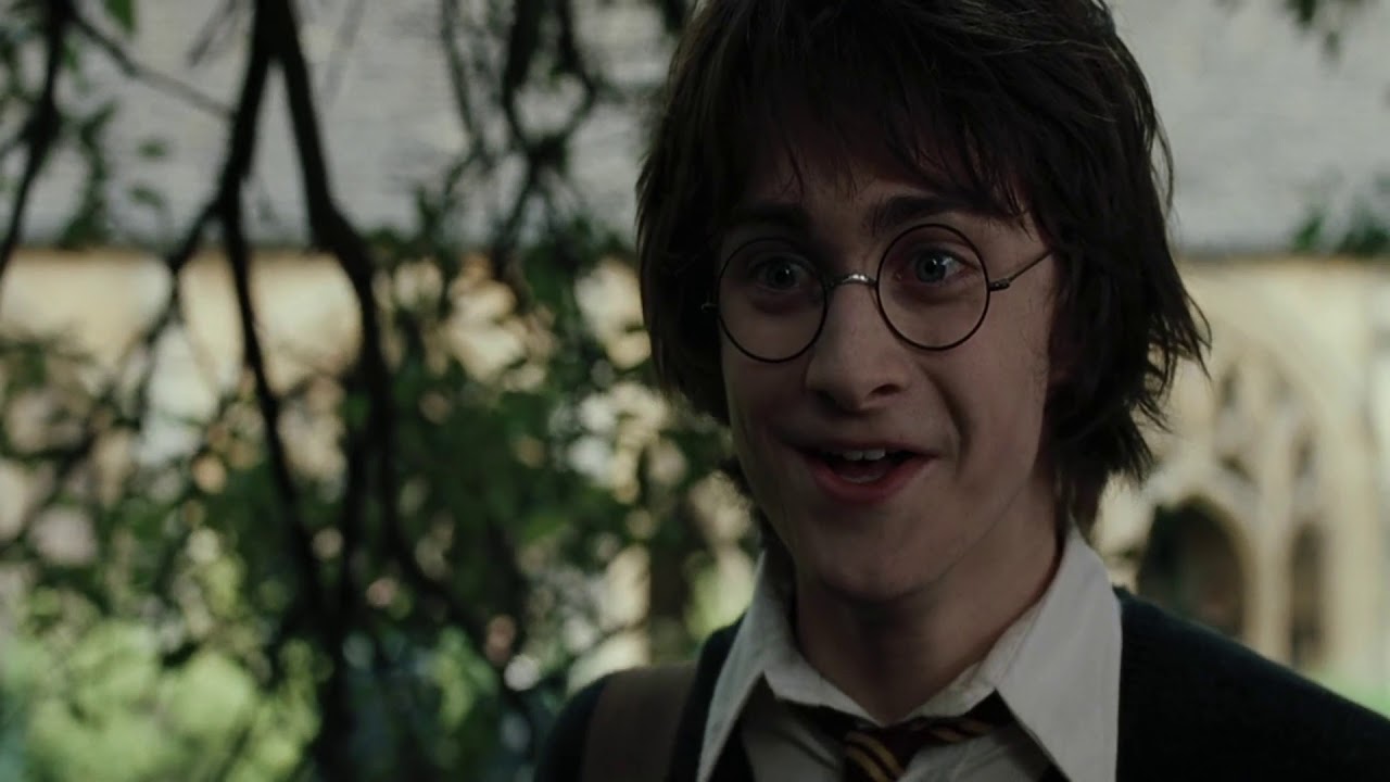 Гарри Поттер и Кубок Огня (Гарри Предупреждает Седрика о Драконах)