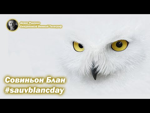 Совиньон Блан - 1 мая #sauvblancday